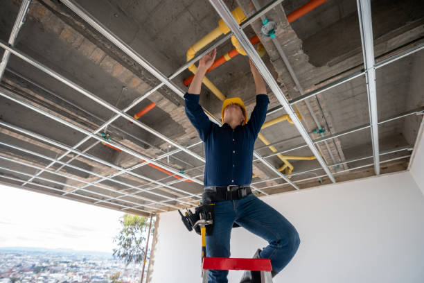 Best Plumbing Inspection Services  in Perryville, AR