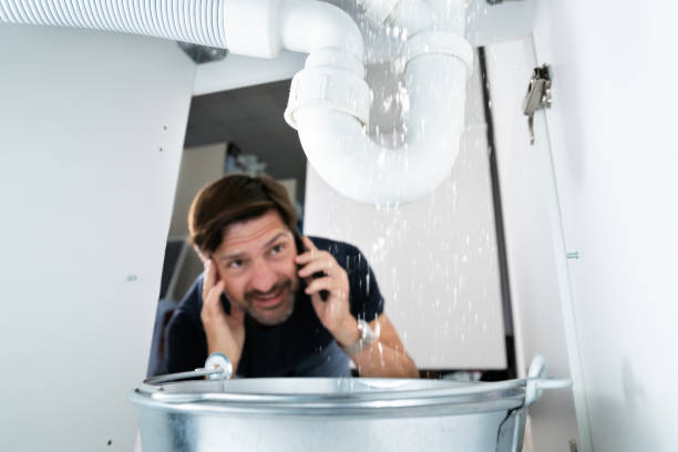 Best Sprinkler Systems  in Perryville, AR